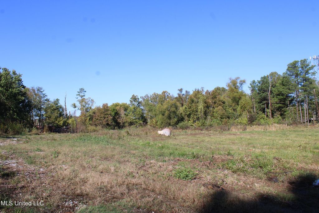 8031 Alexander Road, Olive Branch, MS 38654 — exterior