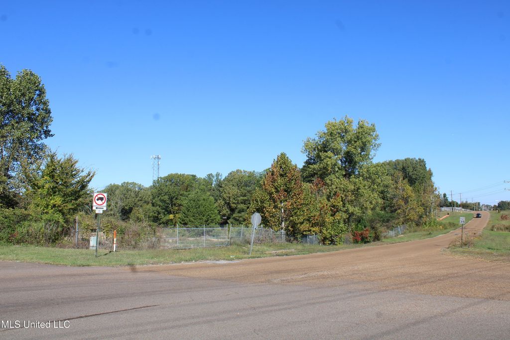 8031 Alexander Road, Olive Branch, MS 38654 — photo 2