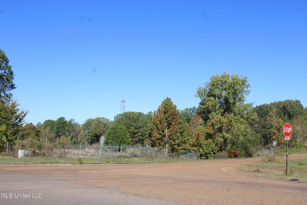8031 Alexander Road, Olive Branch, MS 38654 — photo 3