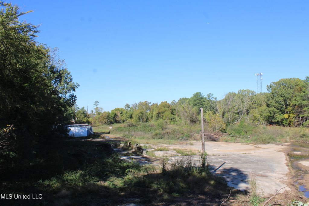 8031 Alexander Road, Olive Branch, MS 38654 — photo 5