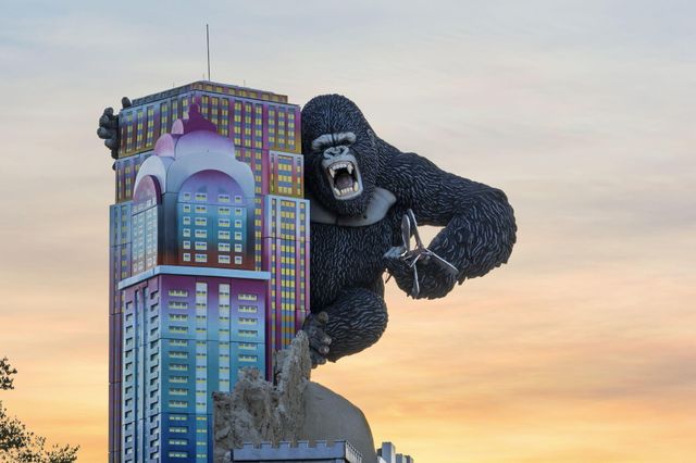 407 W College Street, Branson, MO 65616