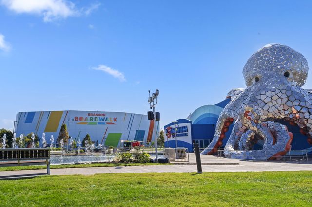 407 W College Street, Branson, MO 65616