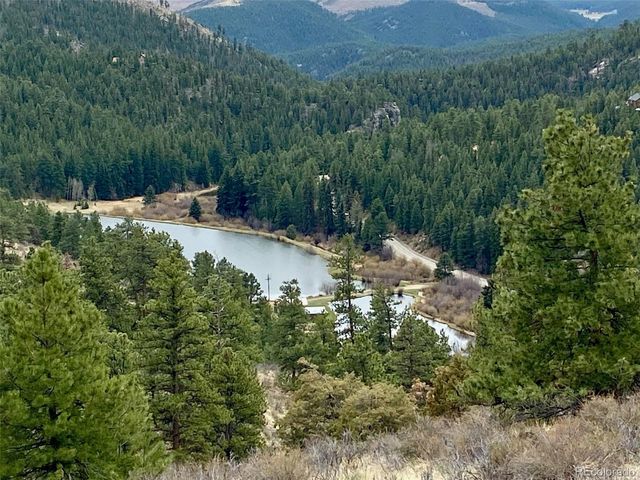 174 Chickadee Dr, Bailey, CO 80421