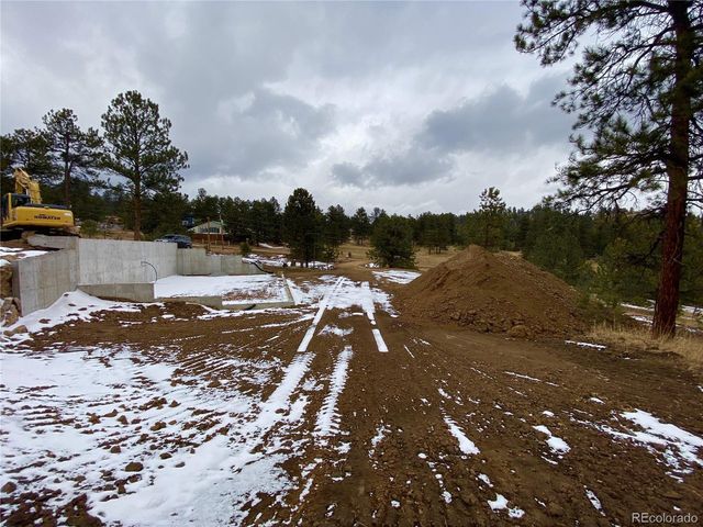 174 Chickadee Dr, Bailey, CO 80421