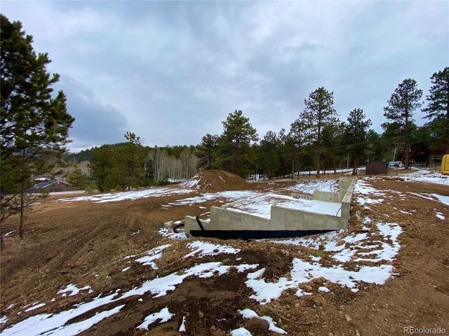 174 Chickadee Dr, Bailey, CO 80421