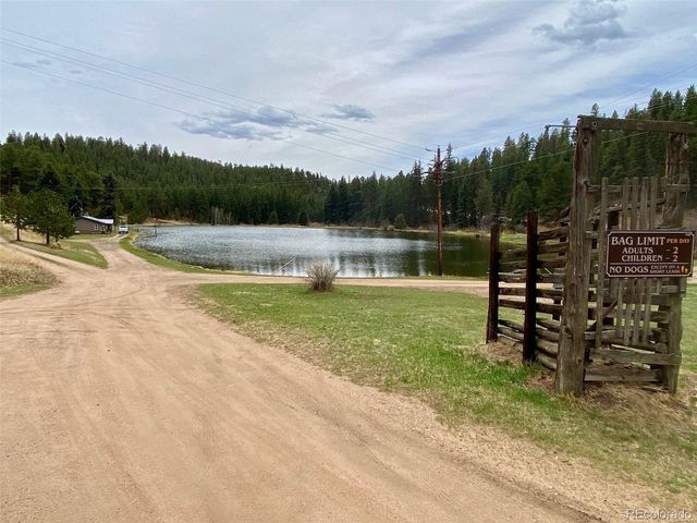 174 Chickadee Dr, Bailey, CO 80421