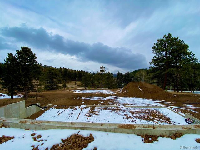 174 Chickadee Dr, Bailey, CO 80421