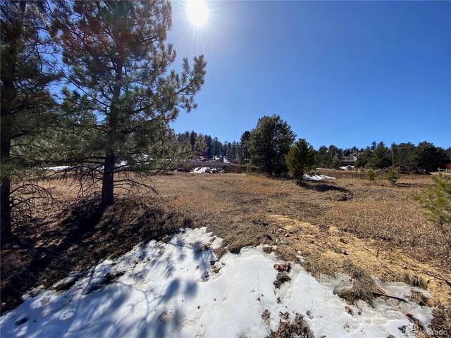 174 Chickadee Dr, Bailey, CO 80421