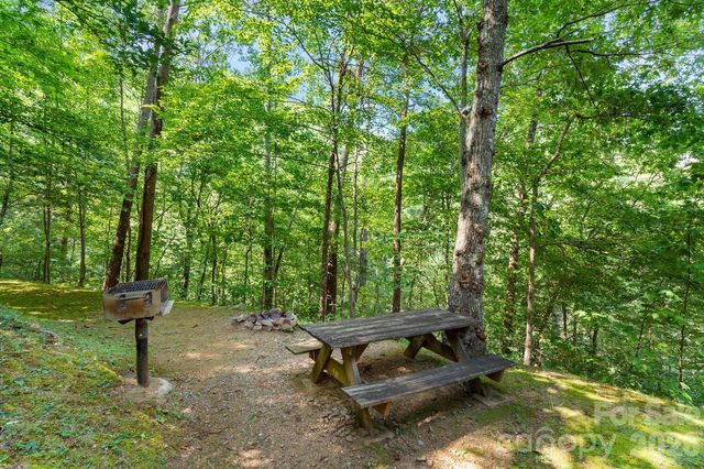 264 Rebel Drive, Hot Springs, NC 28743