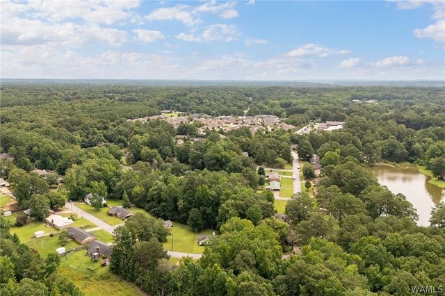 4223 2nd Ave E, Northport, AL 35473