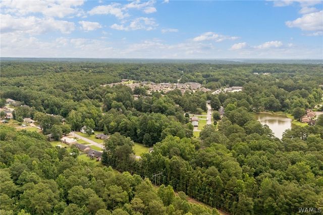 4223 2nd Ave E, Northport, AL 35473