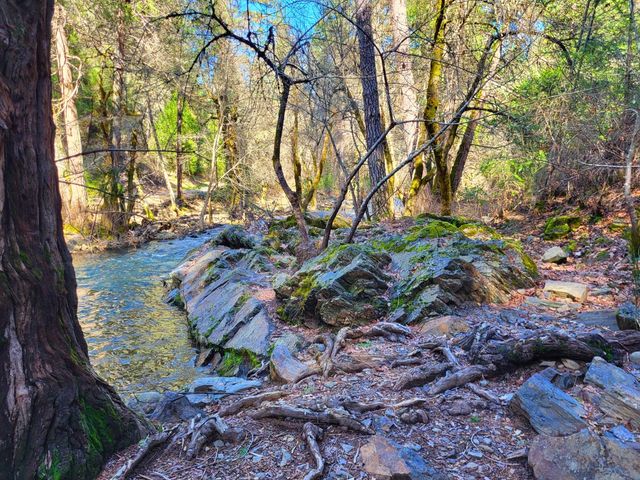 2733 Emco Rd, Mokelumne Hill, CA 95245