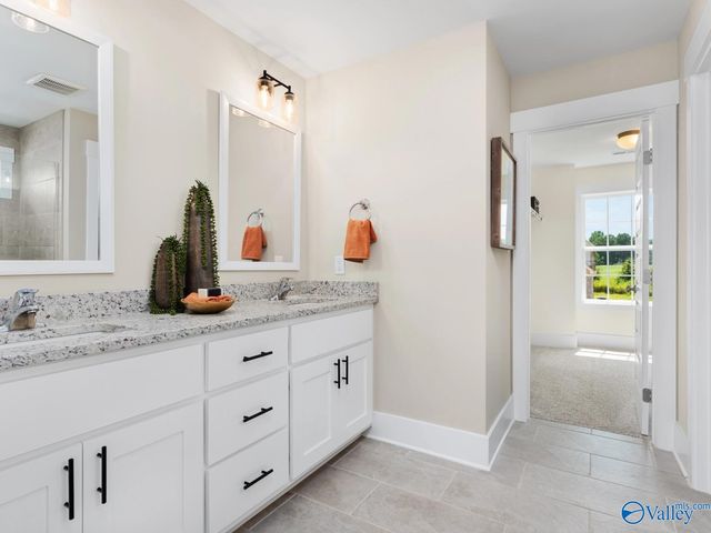 120 Cotita Drive, Toney, AL 35773