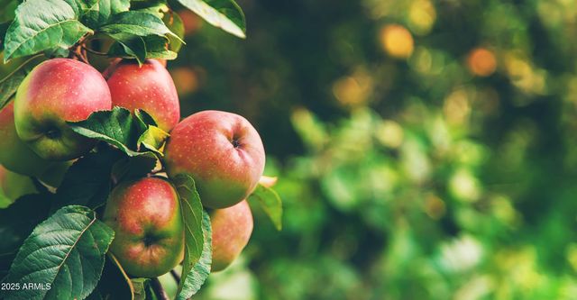 65 JUNIPINE Circle, Sedona, AZ 86336