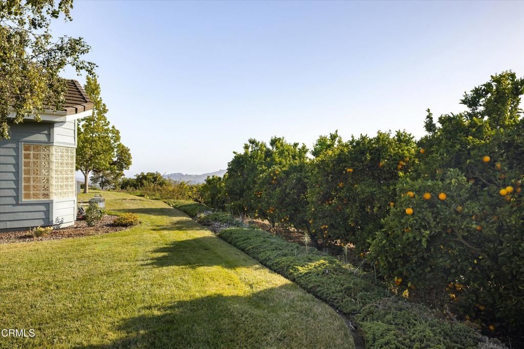 Image 25 of property listing at 6150 Baja Vista Drive, Somis, CA 93066