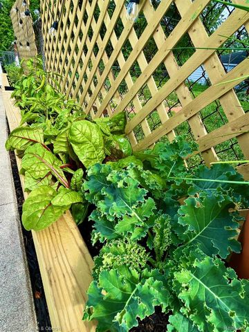 550 Arthur Street, Plymouth, MI 48170