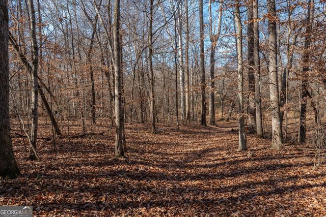 113 Goldin Prop Rd, Bremen, GA 30110