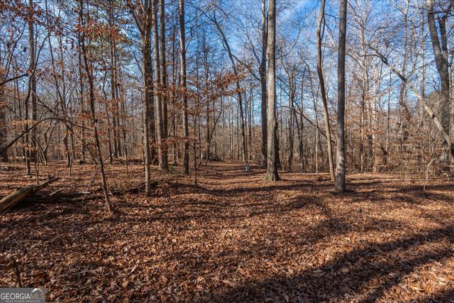 113 Goldin Prop Rd, Bremen, GA 30110