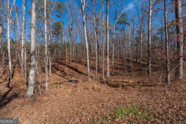 113 Goldin Prop Rd, Bremen, GA 30110