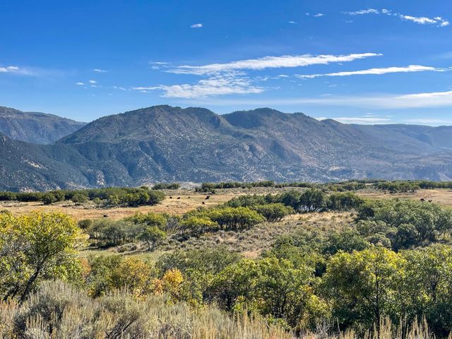 22000 P 77 Road, Cimarron, CO 81220