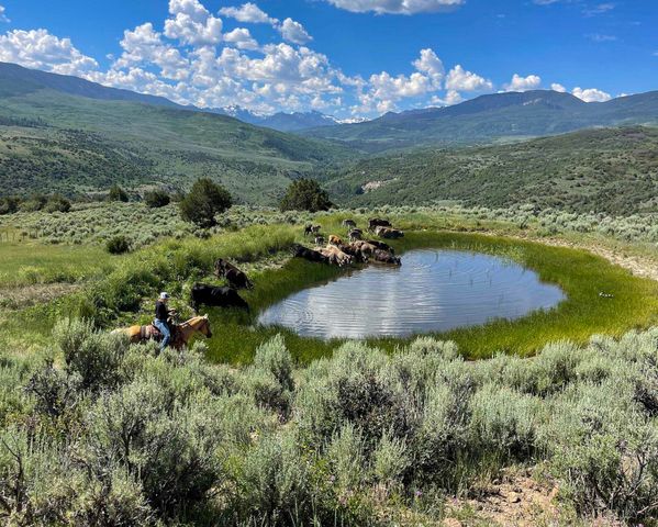 22000 P 77 Road, Cimarron, CO 81220