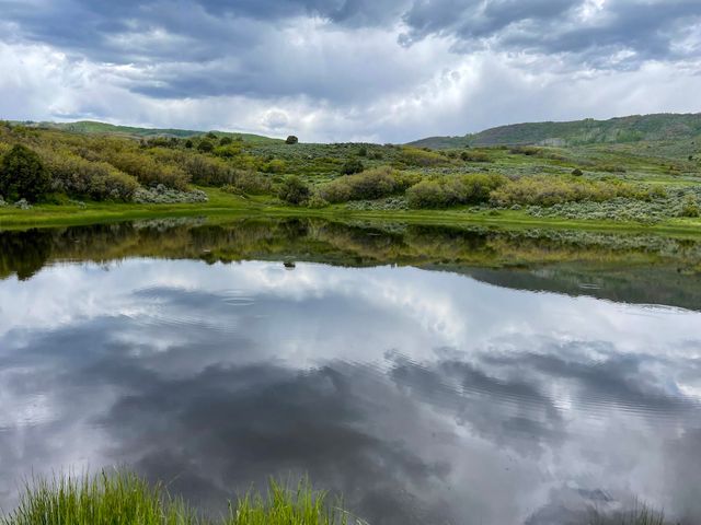 22000 P 77 Road, Cimarron, CO 81220