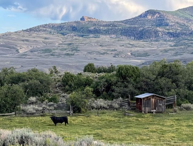 22000 P 77 Road, Cimarron, CO 81220