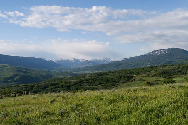22000 P 77 Road, Cimarron, CO 81220