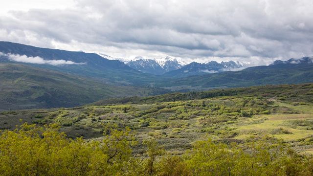 22000 P 77 Road, Cimarron, CO 81220