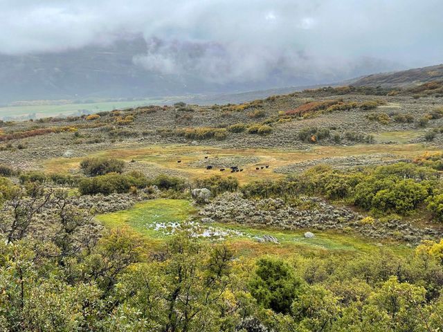 22000 P 77 Road, Cimarron, CO 81220