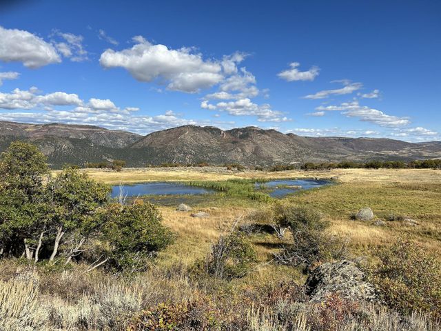 22000 P 77 Road, Cimarron, CO 81220