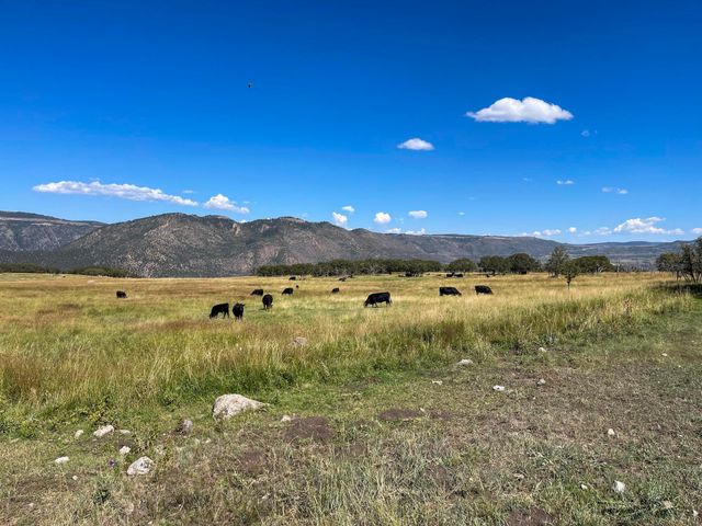 22000 P 77 Road, Cimarron, CO 81220