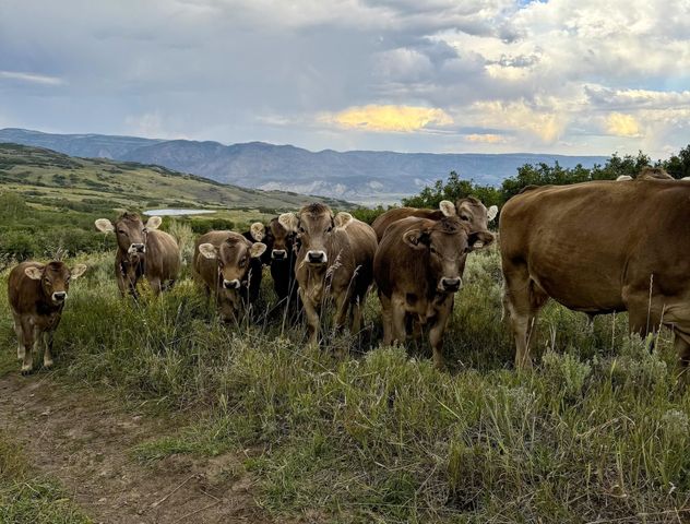 22000 P 77 Road, Cimarron, CO 81220