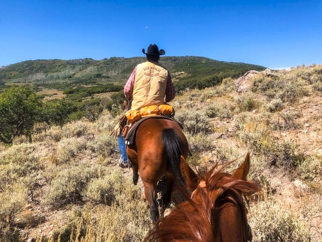 22000 P 77 Road, Cimarron, CO 81220
