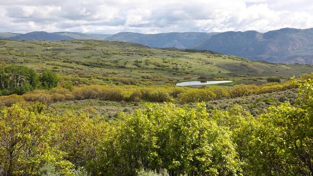 22000 P 77 Road, Cimarron, CO 81220