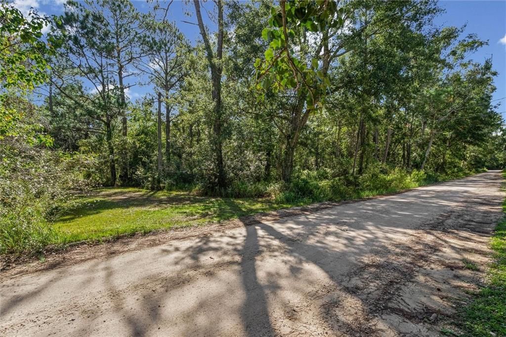 16045 Williams Road, Coden, AL 36523 — exterior