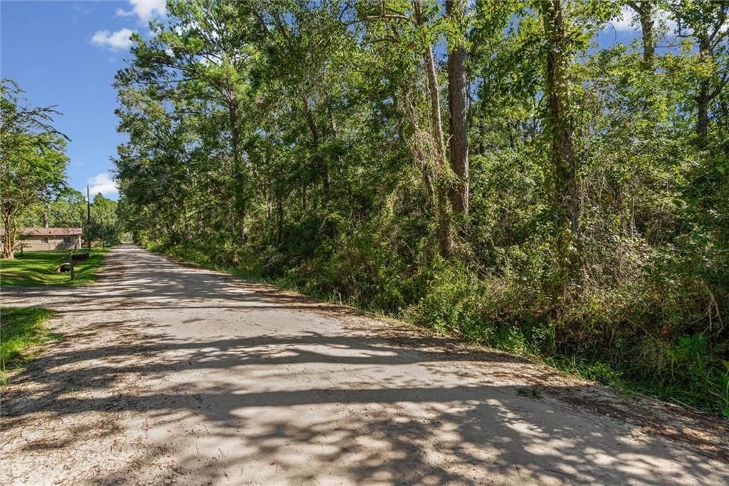 16045 Williams Road, Coden, AL 36523 — photo 2