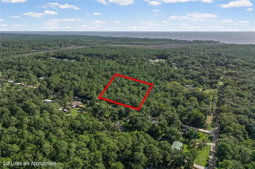 16045 Williams Road, Coden, AL 36523 — photo 3