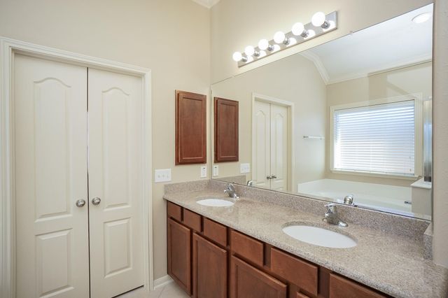 24638 Wild Oak Lake Drive, Katy, TX 77494