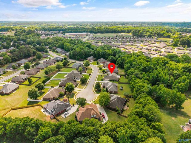 124 Pearle Cove Drive, Huntsville, AL 35806