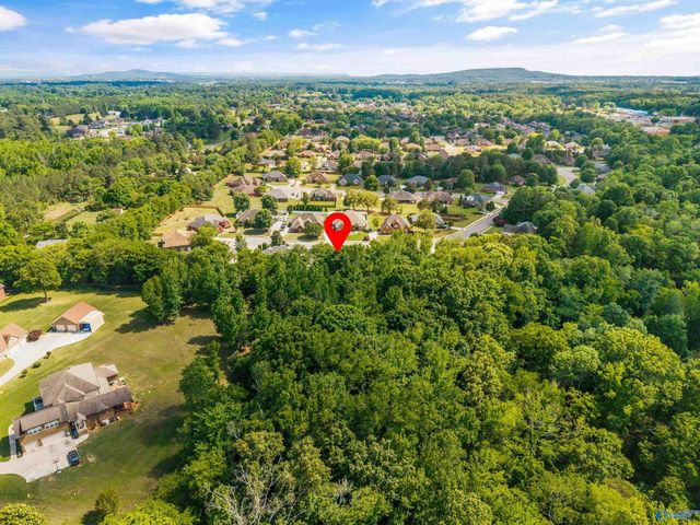 124 Pearle Cove Drive, Huntsville, AL 35806