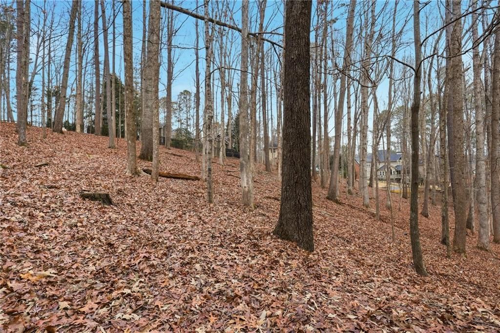 Image 27 of property listing at 511 Deer Run Way, Woodstock, GA 30189