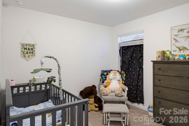 10100 Travis Floyd Lane, Charlotte, NC 28214