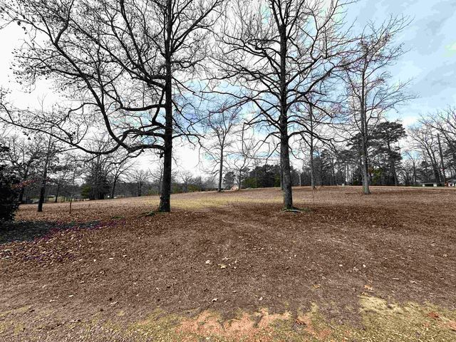 507 Oak Trail, Queen City, TX 75572