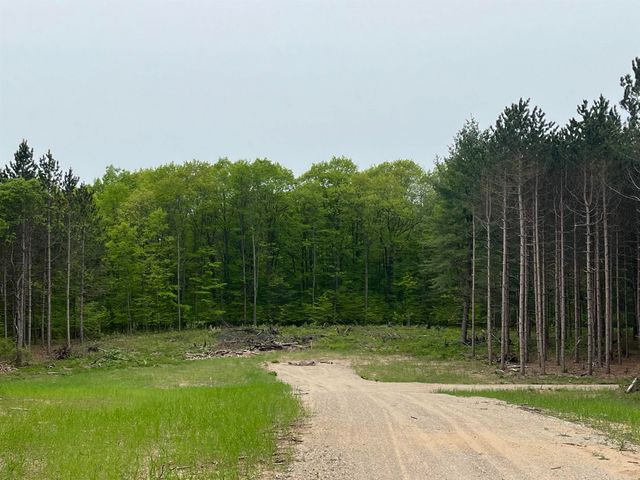 parcel D Theron Road, Blair Twp, MI 49685