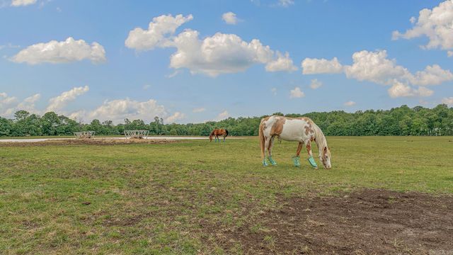 1323-38 CR 304, Jonesboro, AR 72401