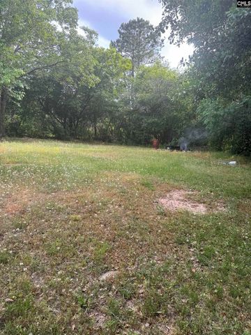 1010 Calvary Church Road, Norway, SC 29107