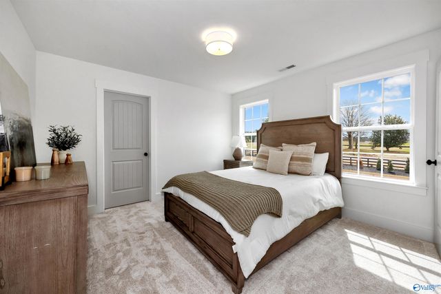 111 Grand Springs Court, Madison, AL 35756