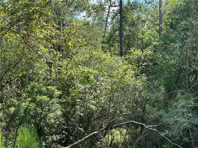 10061 Sasser Lane, Mobile, AL 36695