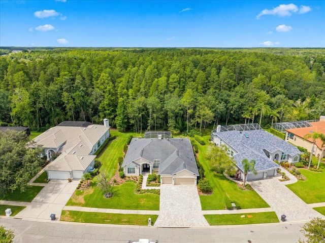 18918 SAINT LAURENT DRIVE, Lutz, FL 33558